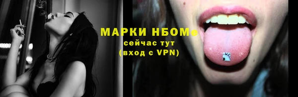 ПСИЛОЦИБИНОВЫЕ ГРИБЫ Козловка
