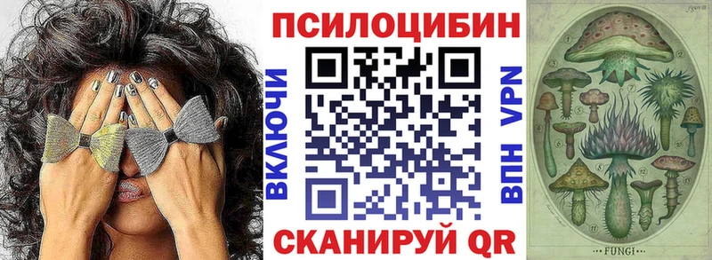 Галлюциногенные грибы GOLDEN TEACHER  цены наркотик  Жуковка 